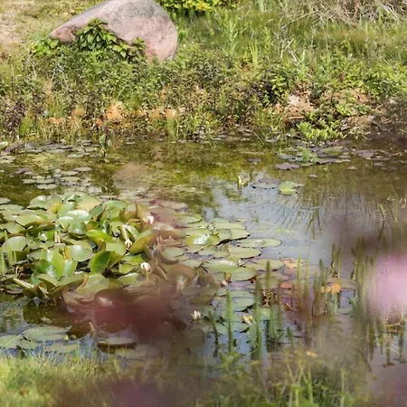 2694-nexo-munkegardsvejen-8 * Neksø